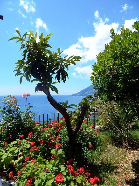 Amalfi View Cottage Exterior photo