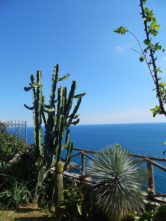 Amalfi View Cottage Exterior photo